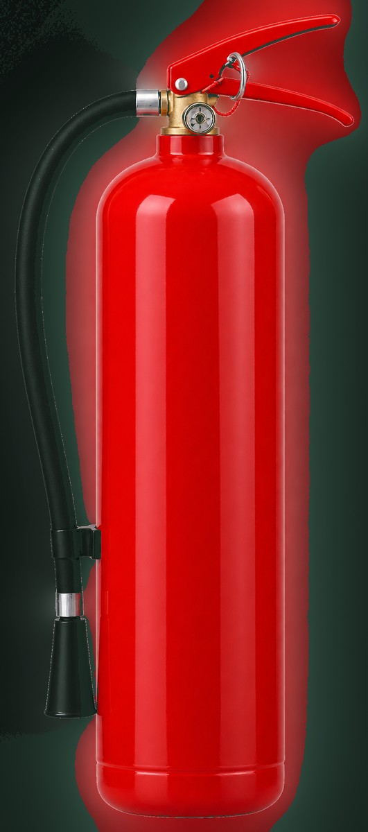 A finished CO2 fire extinguisher — its red body is a seamless steel cylinder made by Rakshitam Industries